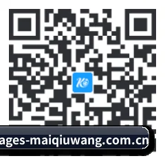 APP 安卓 二维码